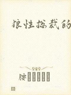 狼性总裁的尤物