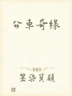 公车奇缘