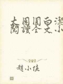 大团圆白洁免费阅读全文小说