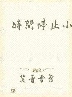 时间停止小说