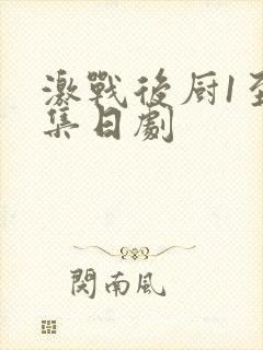 激战后厨1至5集日剧