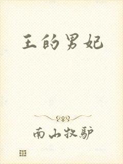 王的男妃