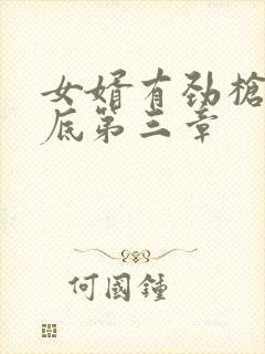 女婿有劲枪枪到底第三章