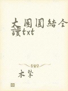 大团圆结全文阅读txt