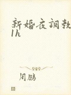 新婚夜调教1v1h