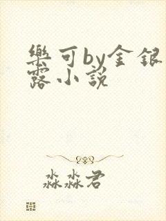 乐可by金银花露小说