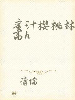 蜜汁樱桃林妙妙高h