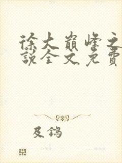 徐大巅峰之路小说全文免费阅读