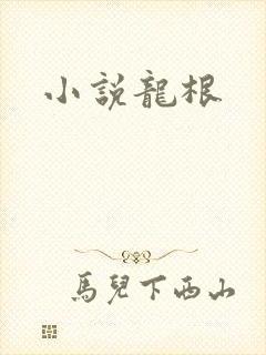 小说龙根