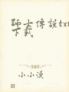 师士传说txt下载