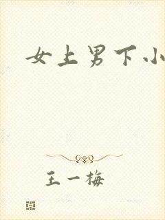 女上男下小说