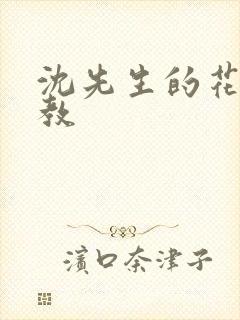 沈先生的花式调教