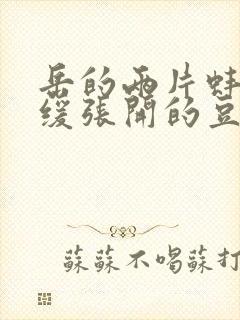 岳的两片蚌肉缓缓张开的豆瓣评分