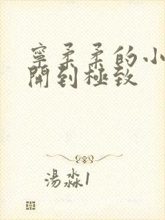 宁柔柔的小泬撑开到极致