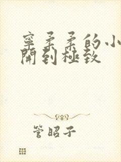 宁柔柔的小泬撑开到极致