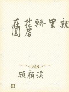 在花轿里就开始圆房