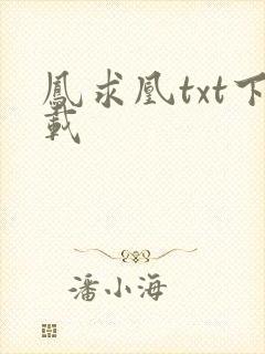 凤求凰txt下载