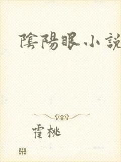 阴阳眼小说