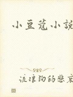 小豆蔻小说