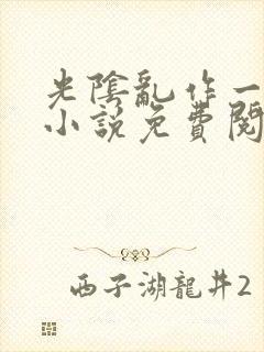 光阴乱作一团的小说免费阅读