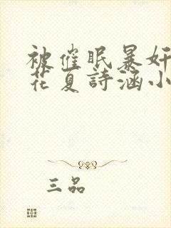 被催眠暴奸的校花夏诗涵小说