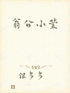 翁公小莹