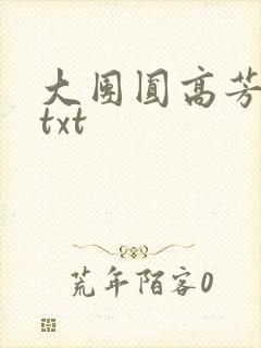 大团圆高芳小说txt