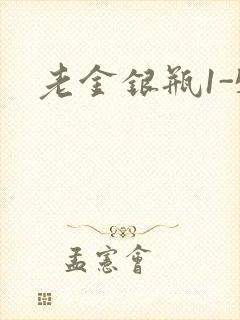 老金银瓶1-5