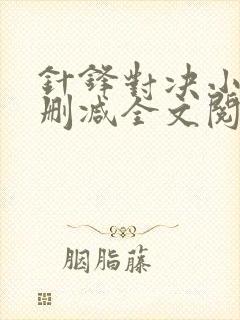 针锋对决小说未删减全文阅读