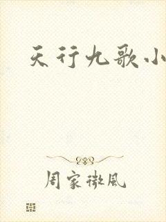 天行九歌小说