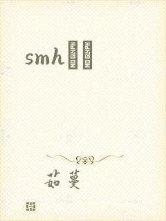 smhС˵