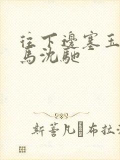 往下边塞玉器骑马沈驰