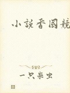 小说香国竞艳