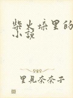 柴火垛里的疯狂小说