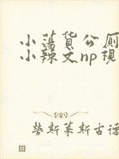 小荡货公厕h文小辣文np视频