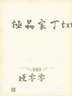 极品家丁txt