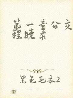 第一章公交激战程晓柔