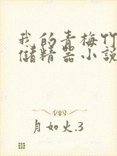 我的青梅竹马是储精器小说