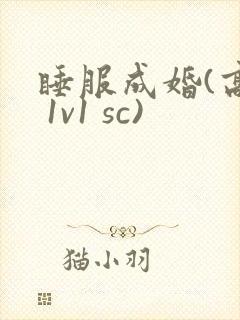 睡服成婚(高h 1v1 sc)