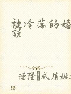 被冷落的婚姻小说