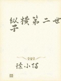 纵横第二世界宽子