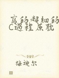 写的超细的多肉C过程原耽