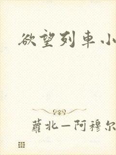欲望列车小说