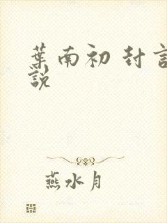 叶南初 封言小说