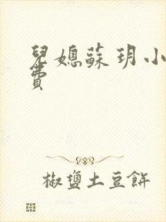 儿媳苏玥小说免费