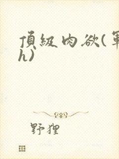 顶级肉欲(军高h)