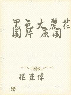 黑色大丽花真实图片 原图