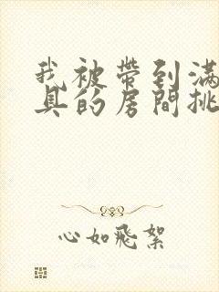 我被带到满是玩具的房间挑调作文