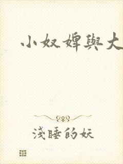 小奴婢与大少爷