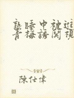 熟睡中被进了H青梅诱哄视频